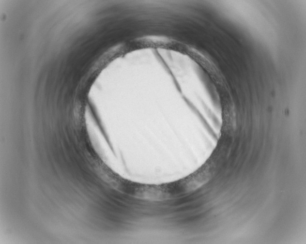 X0000087750765200706041101