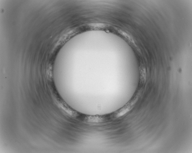 X0000087750766200706041101