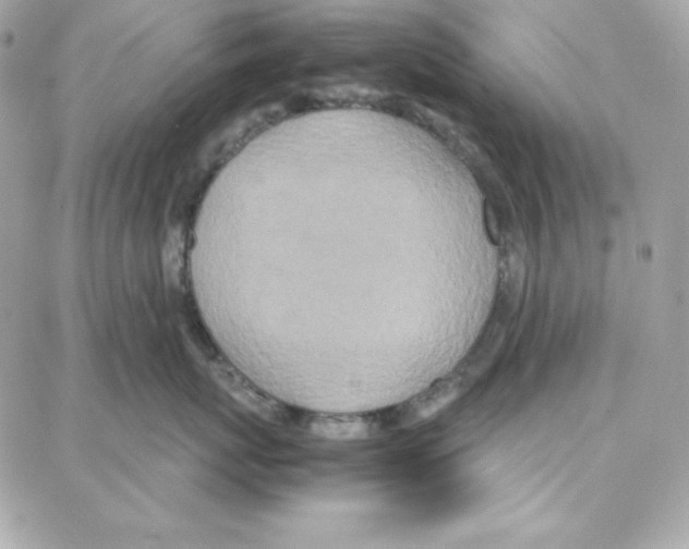 X0000087750767200706041101