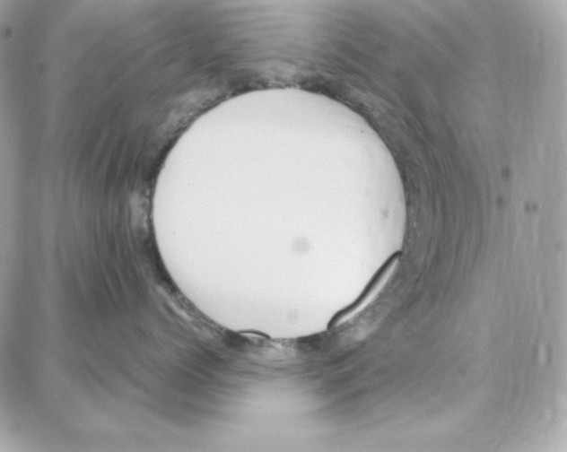 X0000087750768200706041101