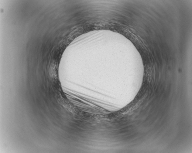 X0000087750770200706041101