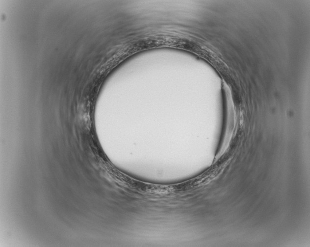 X0000087750771200706041101