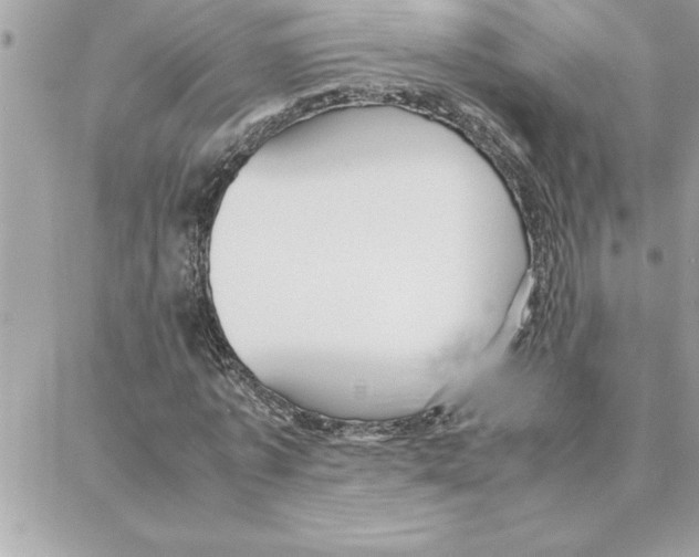 X0000087750773200706041101