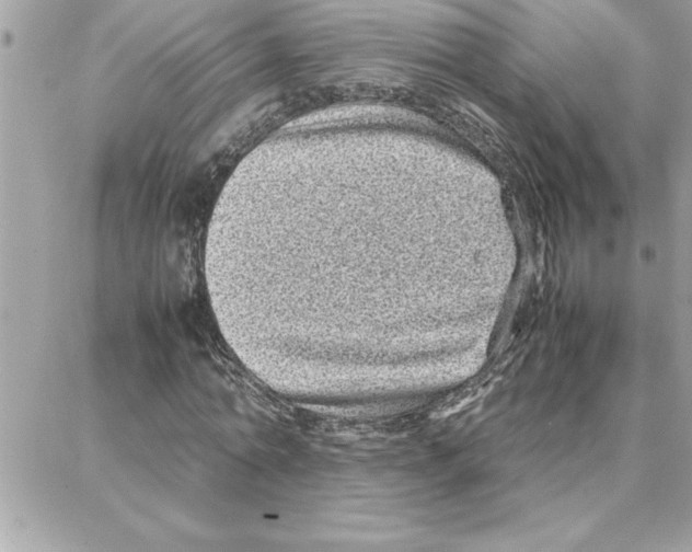 X0000087750774200706041101