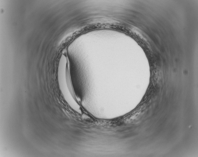 X0000087750775200706041101