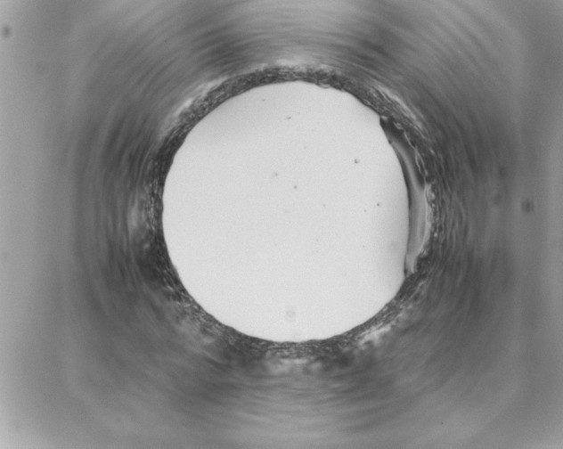 X0000087750776200706041100