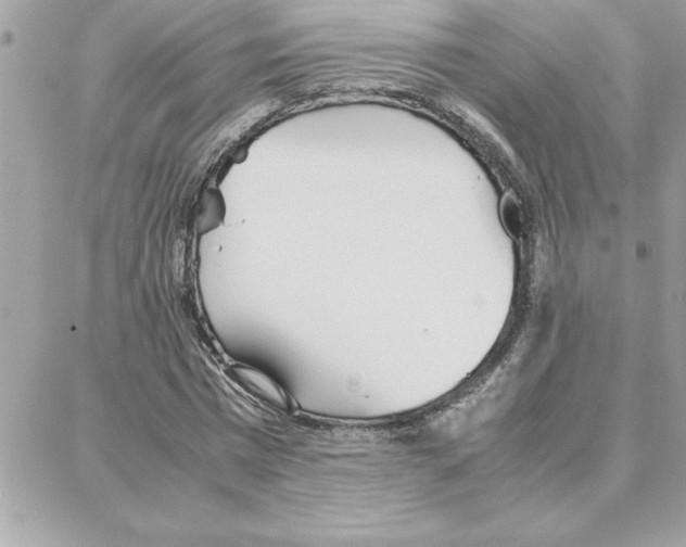 X0000087750777200706041100