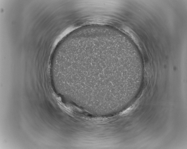 X0000087750779200706041100