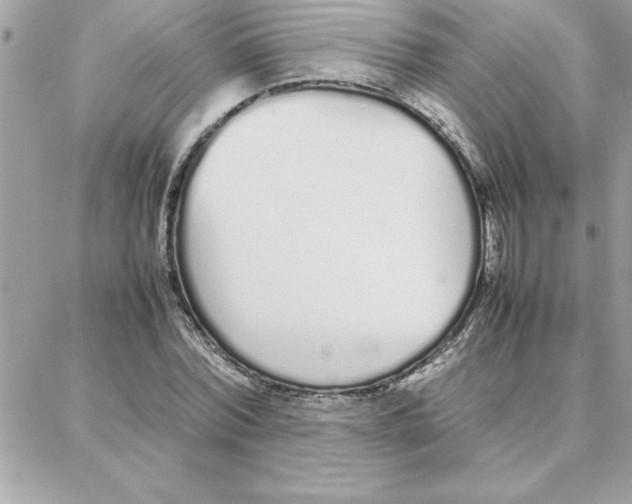 X0000087750780200706041100