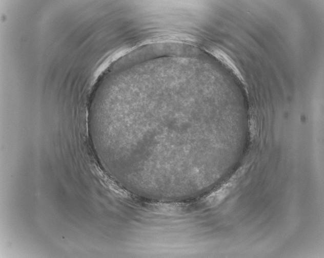 X0000087750781200706041100