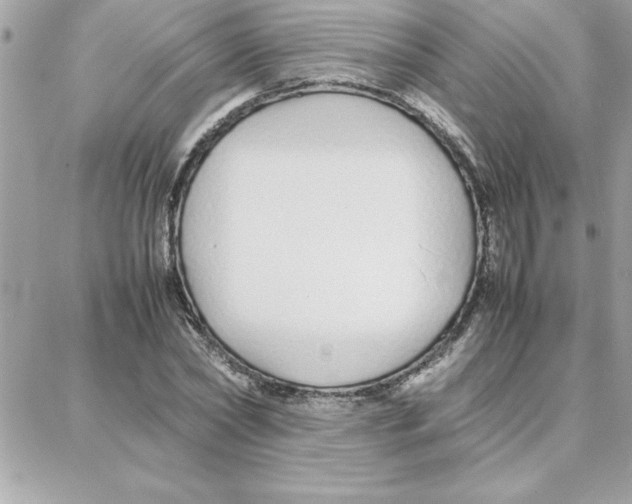 X0000087750782200706041100