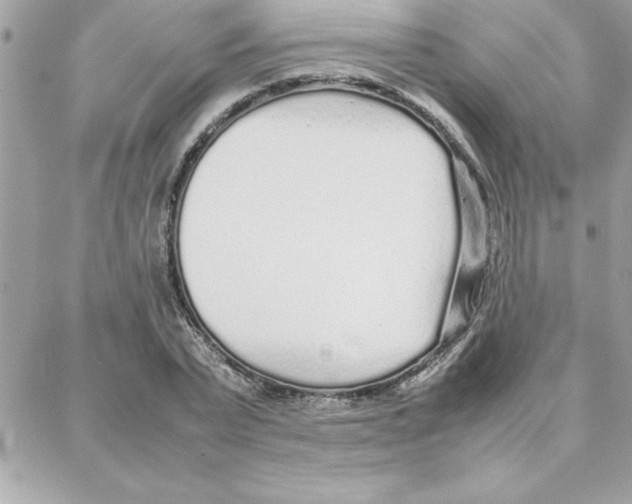 X0000087750783200706041100