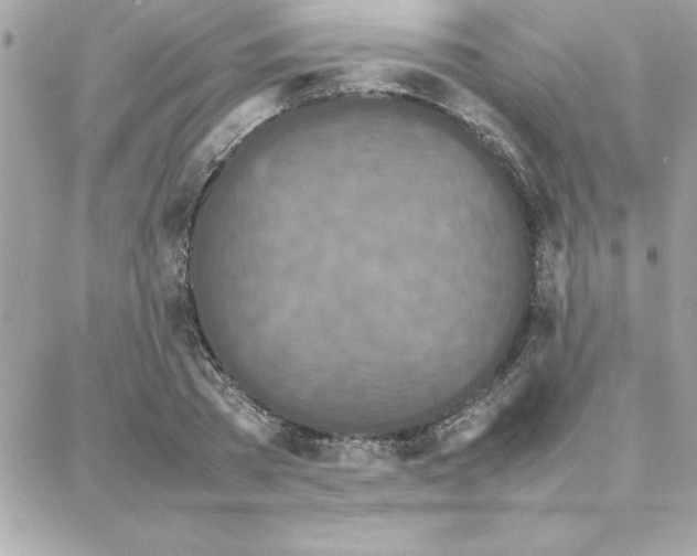 X0000087750785200706041100