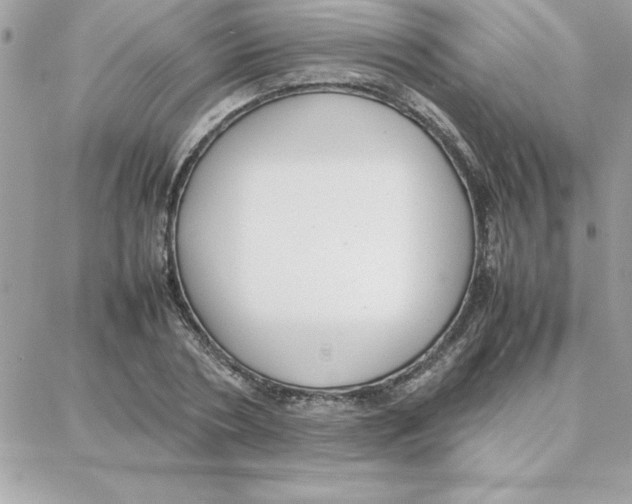 X0000087750786200706041100