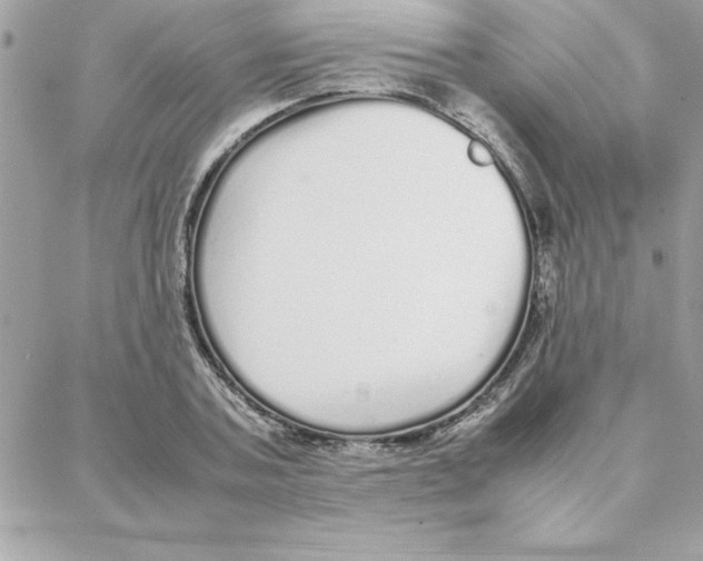 X0000087750787200706041100