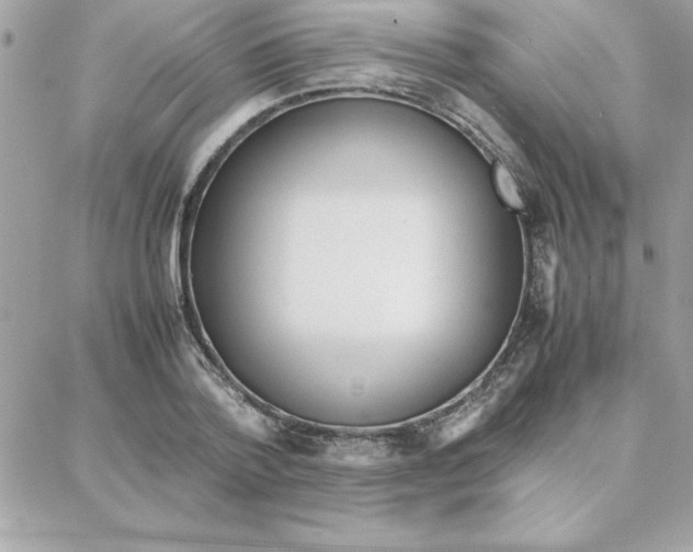 X0000087750788200706041100