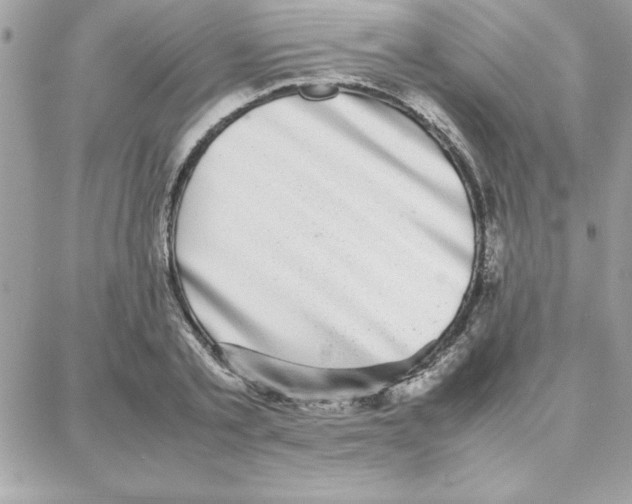 X0000087750789200706041100