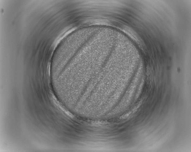 X0000087750790200706041100