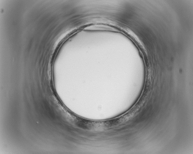 X0000087750791200706041100