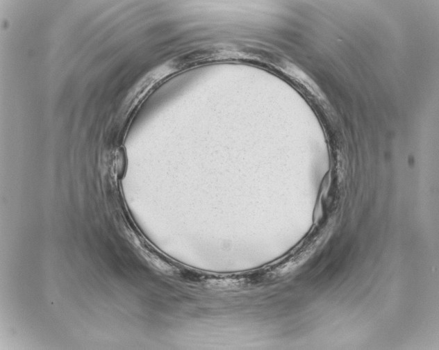 X0000087750793200706041100