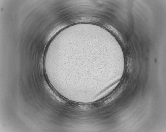 X0000087750794200706041100