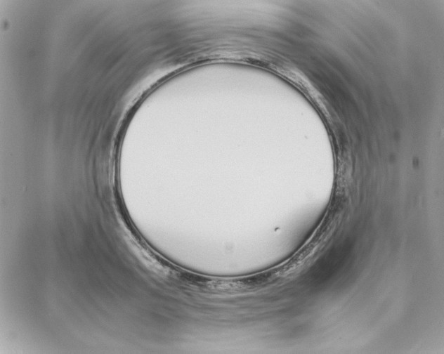 X0000087750795200706041100