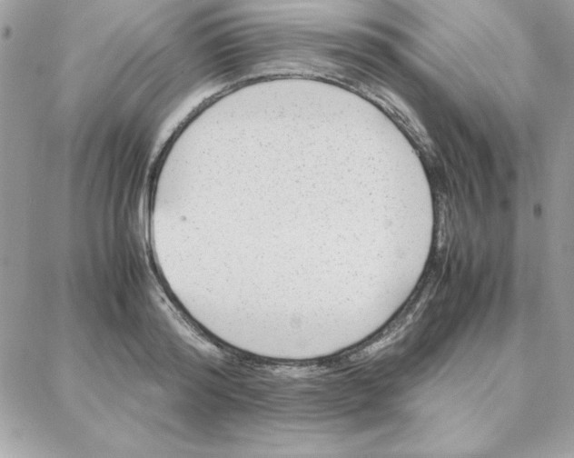 X0000087750796200706041100