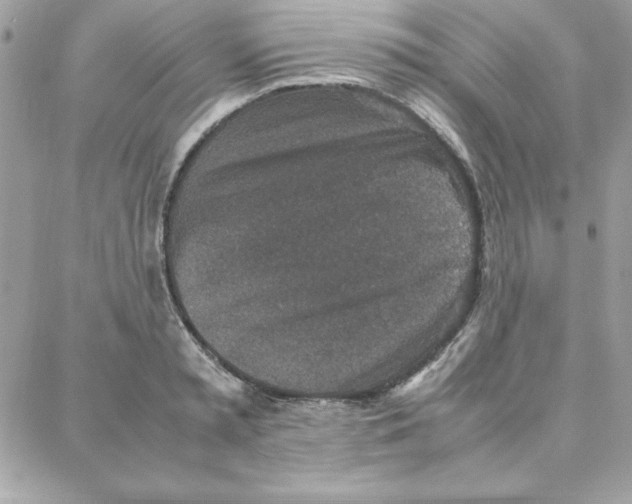 X0000087750797200706041100