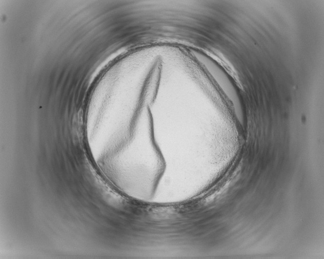 X0000087750798200706041100