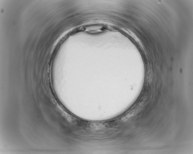 X0000087750799200706041100