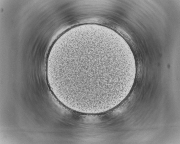 X0000087750800200706041100