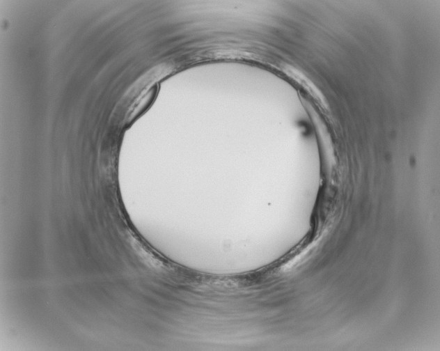 X0000087750801200706041100