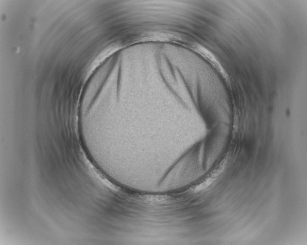 X0000087750802200706041100