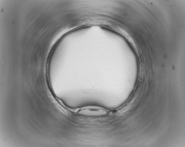 X0000087750803200706041100