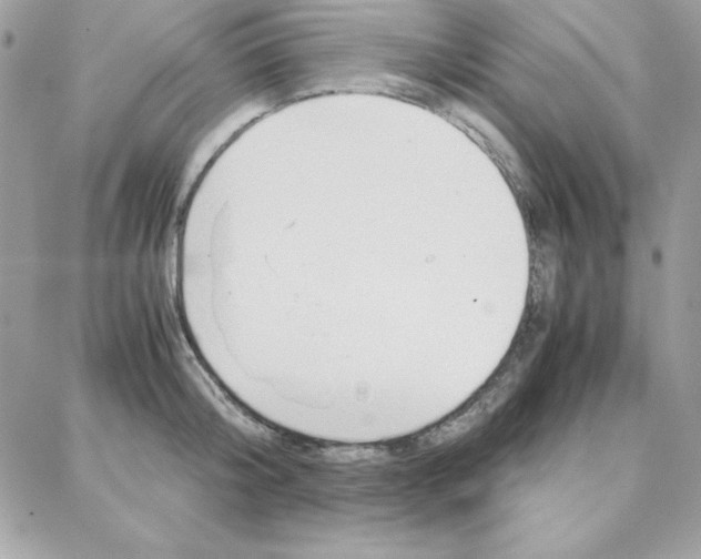 X0000087750804200706041100