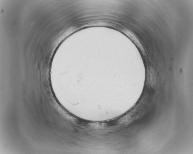 X0000087750805200706041100