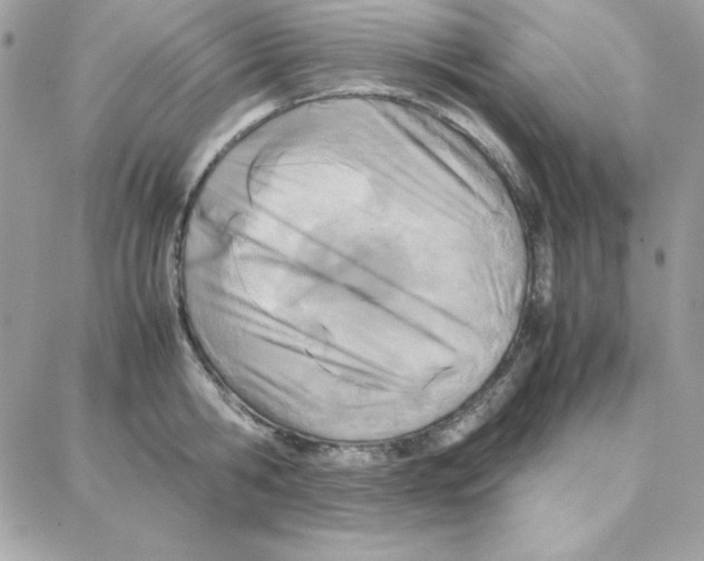 X0000087750806200706041100