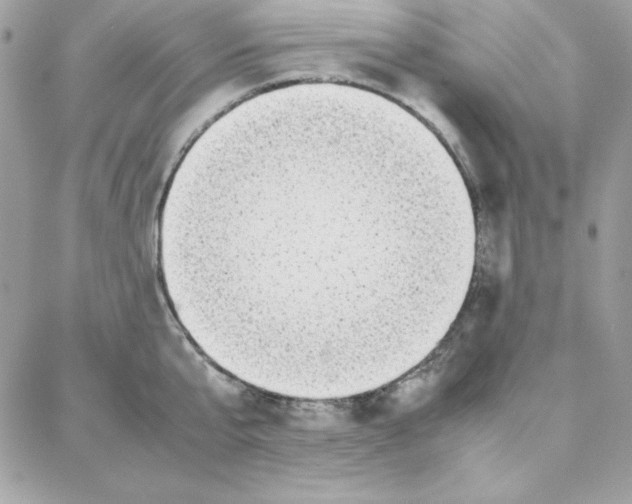 X0000087750807200706041100