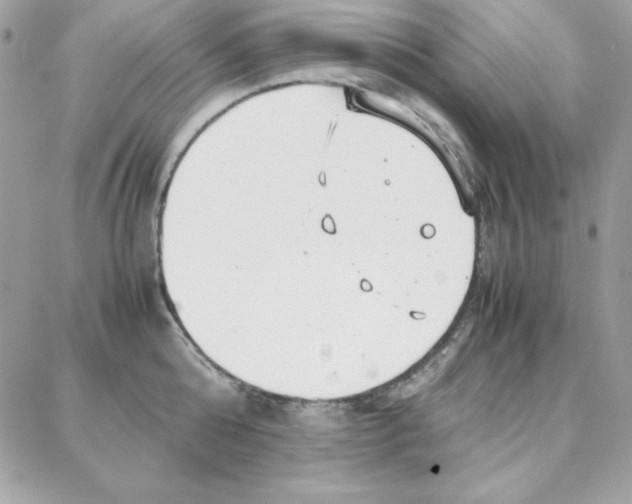 X0000087750808200706041100