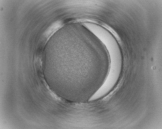 X0000087750809200706041100