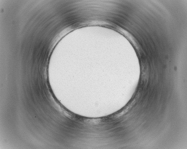 X0000087750810200706041100