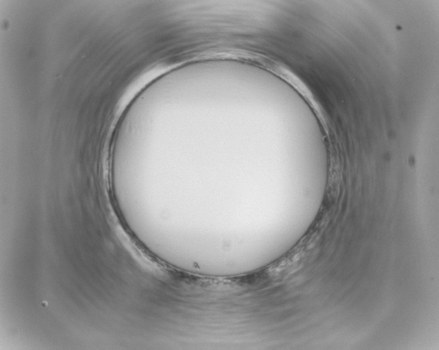 X0000087750811200706041100