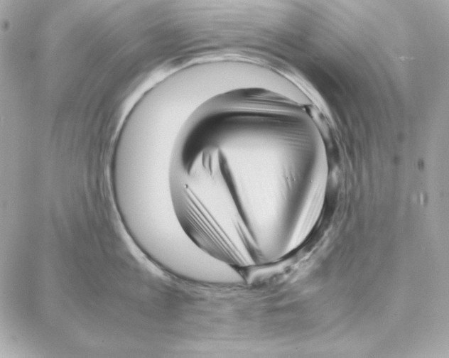 X0000087750813200706041100