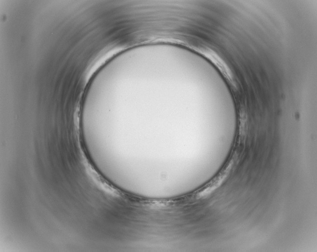 X0000087750814200706041100