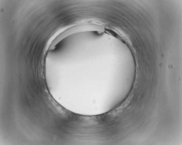 X0000087750816200706041100