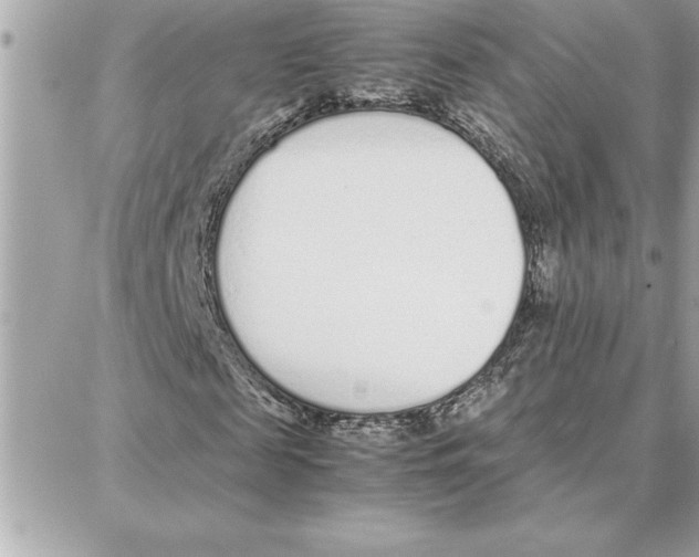 X0000087750817200706041059