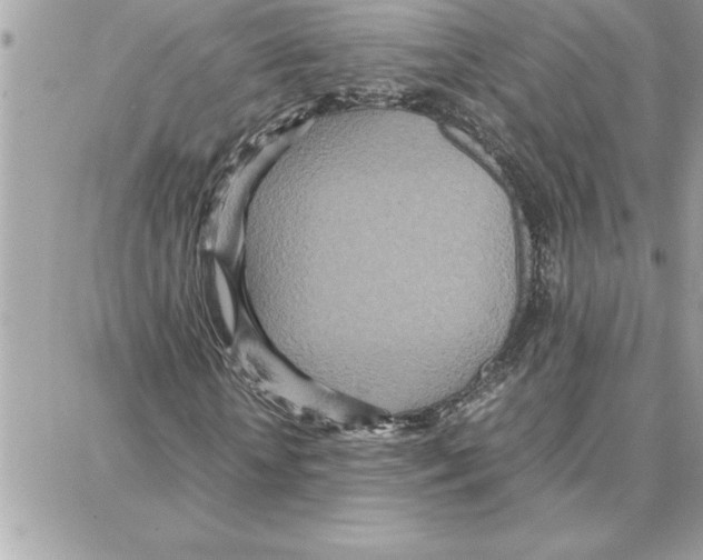 X0000087750818200706041059