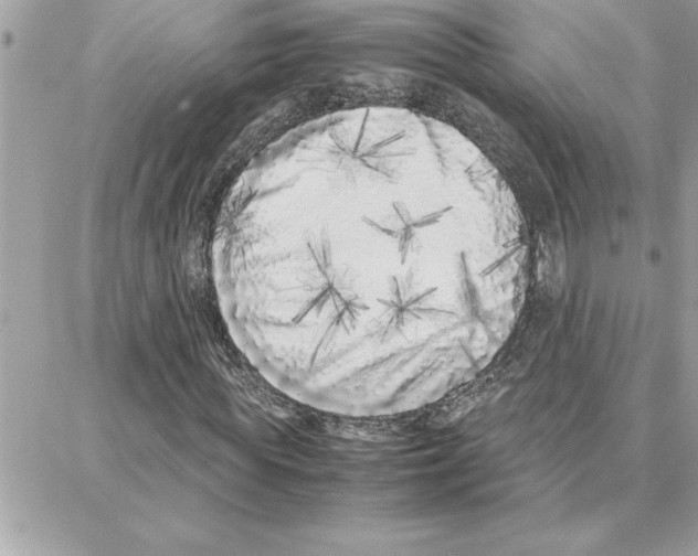 X0000087750819200706041059