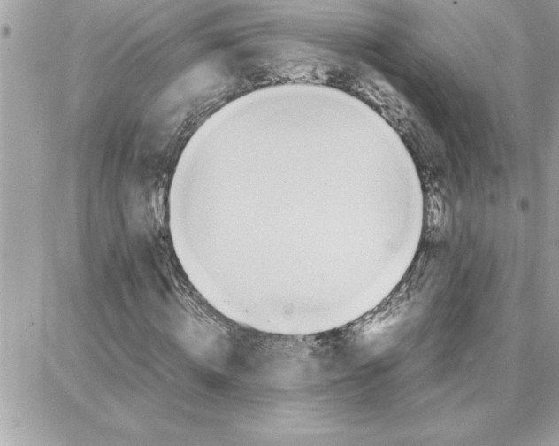 X0000087750820200706041059