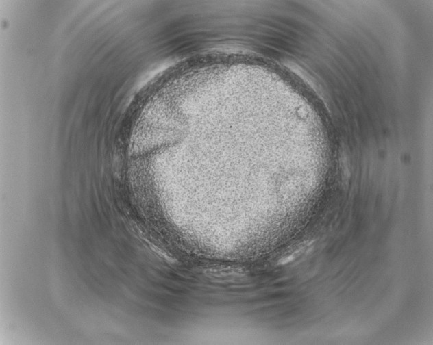 X0000087750823200706041059